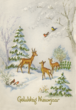 Afbeelding in Gallery-weergave laden, KAART_115x170_020
